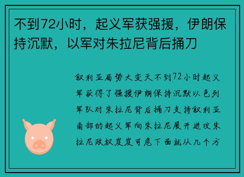 不到72小时，起义军获强援，伊朗保持沉默，以军对朱拉尼背后捅刀