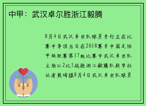 中甲：武汉卓尔胜浙江毅腾