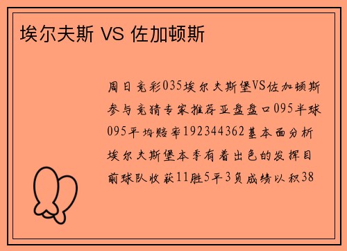埃尔夫斯 VS 佐加顿斯
